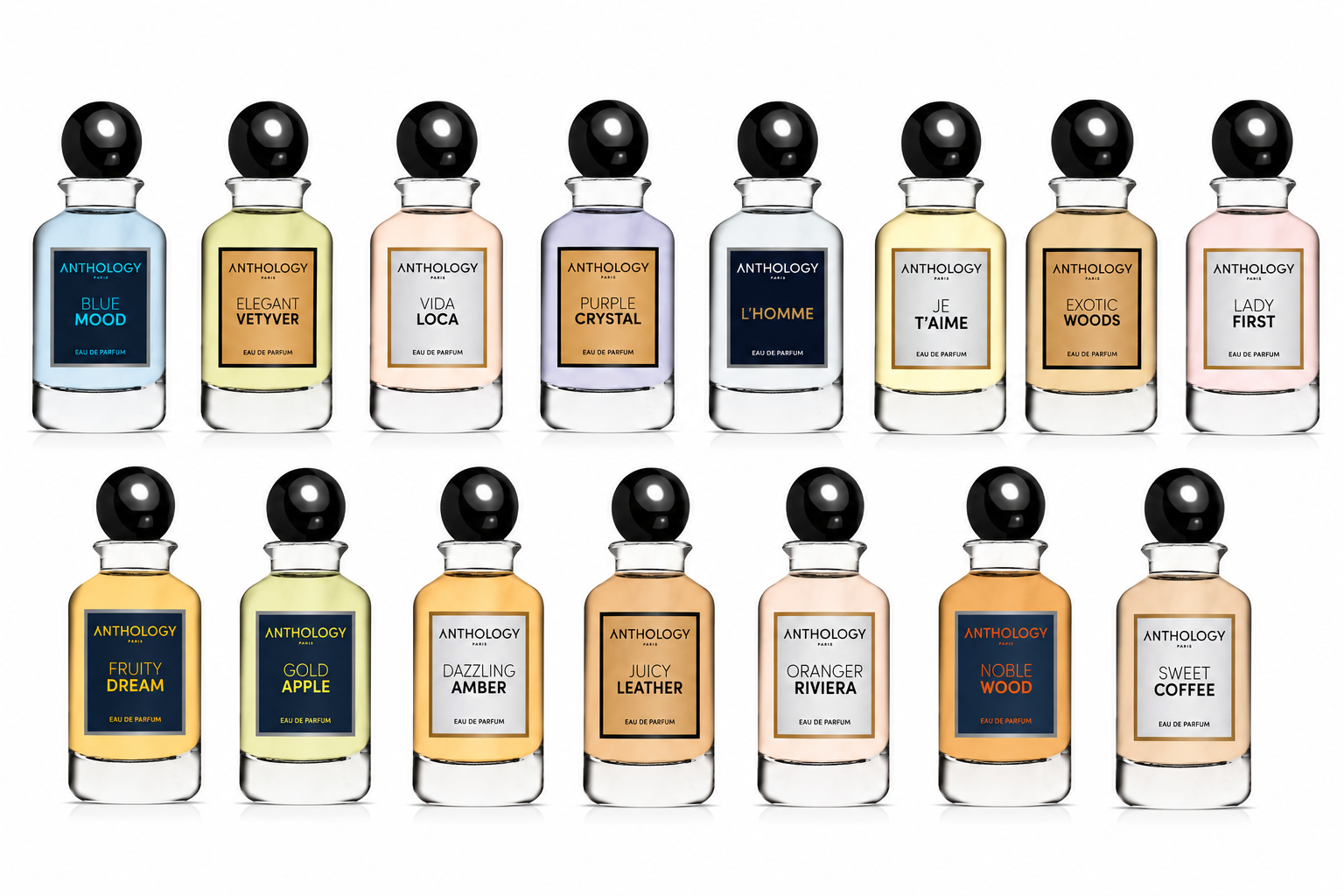 Collection Antholigy